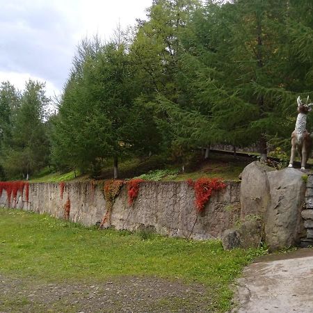 Садиба Федорчуків Гірська Хатина Sheshory Extérieur photo