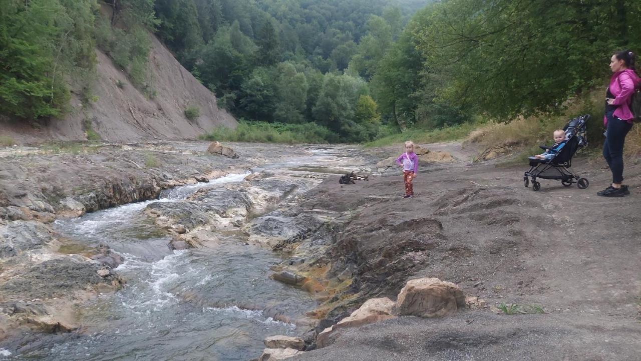 Садиба Федорчуків Гірська Хатина Sheshory Extérieur photo